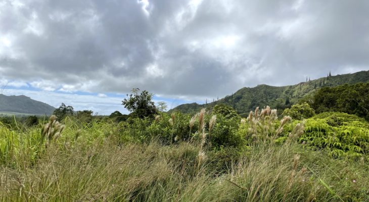 Kahili - South Side Mauka