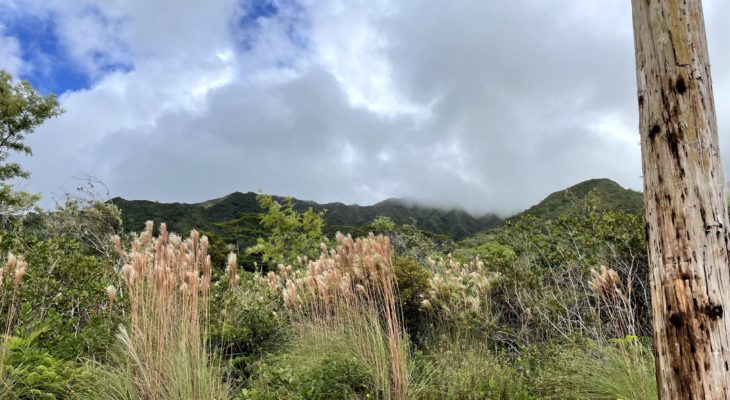 Kahili - South Side Mauka