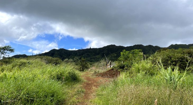 Kahili - South Side Mauka