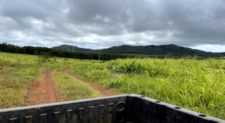 Kahili - South Side Mauka