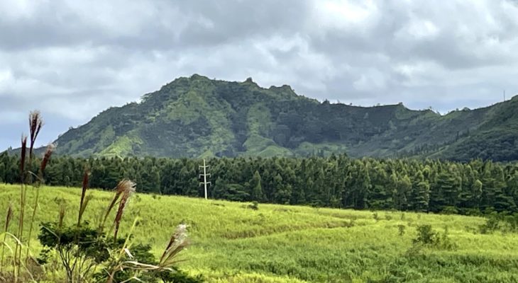 Kahili - South Side Mauka