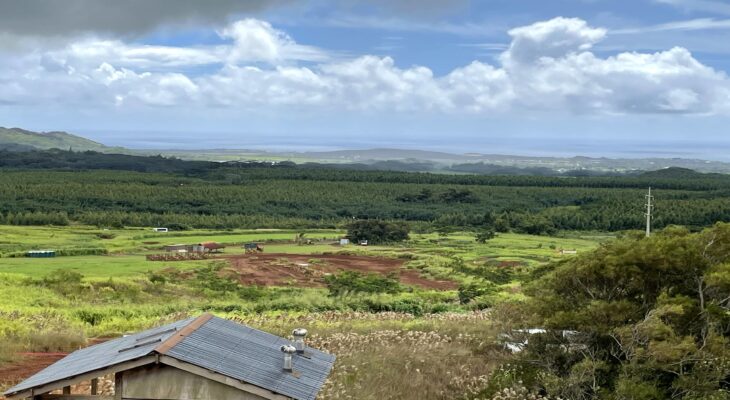 Kahili - South Side Mauka