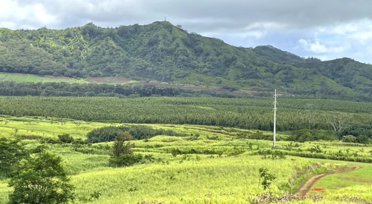 Kahili - South Side Mauka