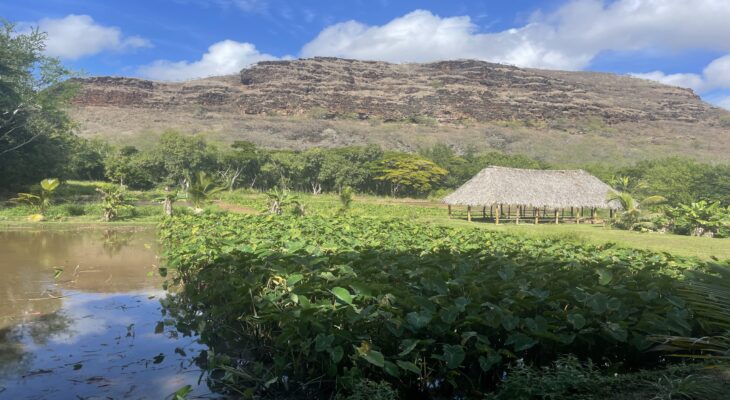 West Side Taro Fields