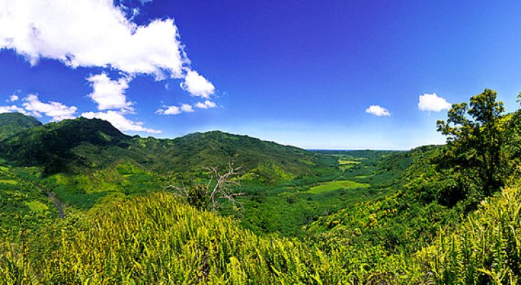 Hanalei Valley