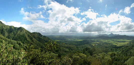 Kahili - South Side Mauka