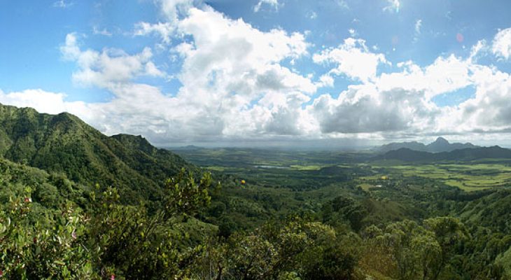 Kahili - South Side Mauka