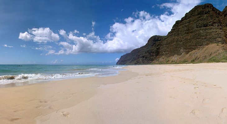 Polihale Beach Park