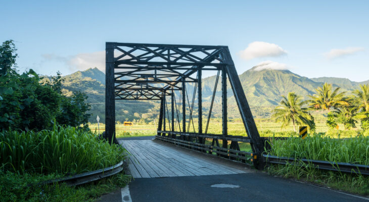 Hanalei Valley