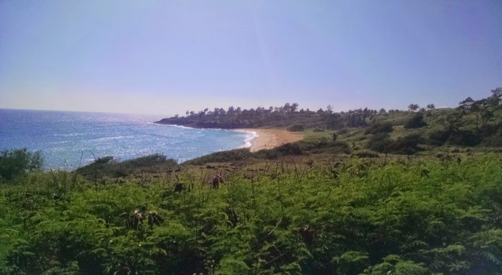 Ke Ala Hele Makalae Bike Path