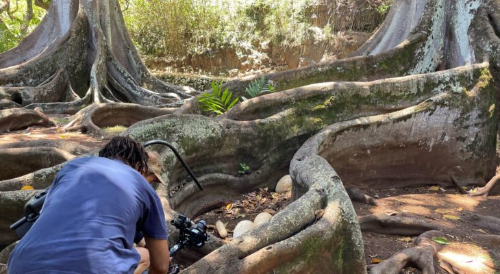 National Tropical Botanical Gardens - Lawai