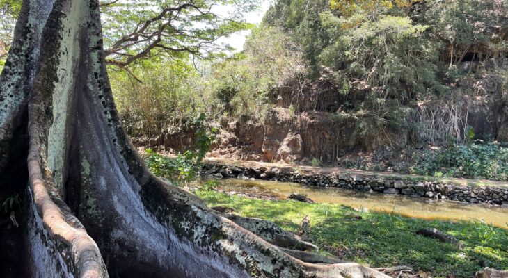 National Tropical Botanical Gardens - Lawai