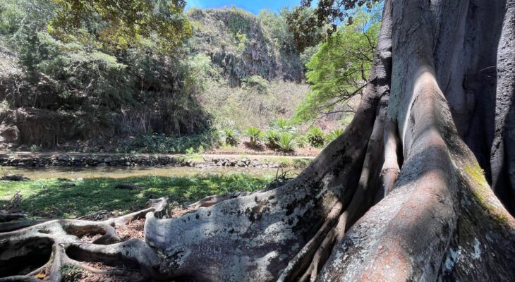 National Tropical Botanical Gardens - Lawai