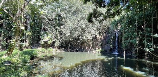 National Tropical Botanical Gardens - Lawai