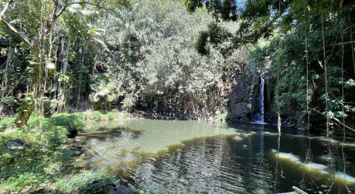 National Tropical Botanical Gardens - Lawai