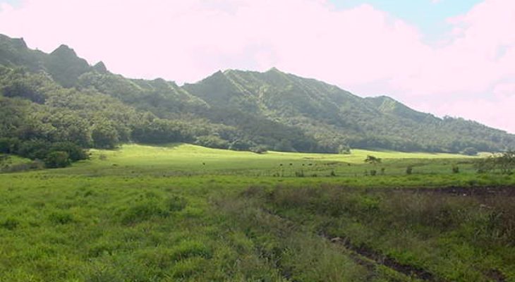 Kipu Ranch