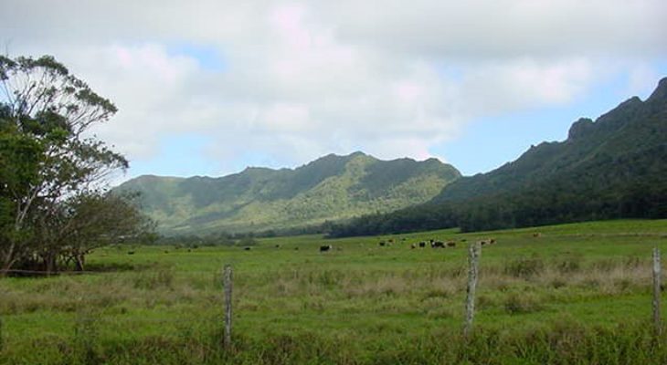 Kipu Ranch