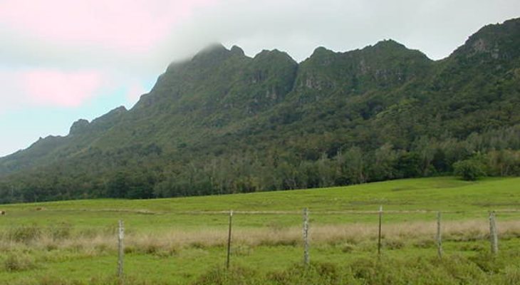 Kipu Ranch